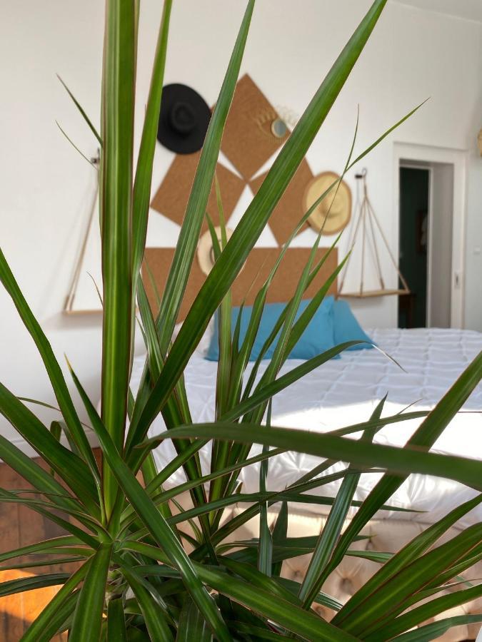 Hypolite Bed and Breakfast Avesnes-sur-Helpe Exteriör bild